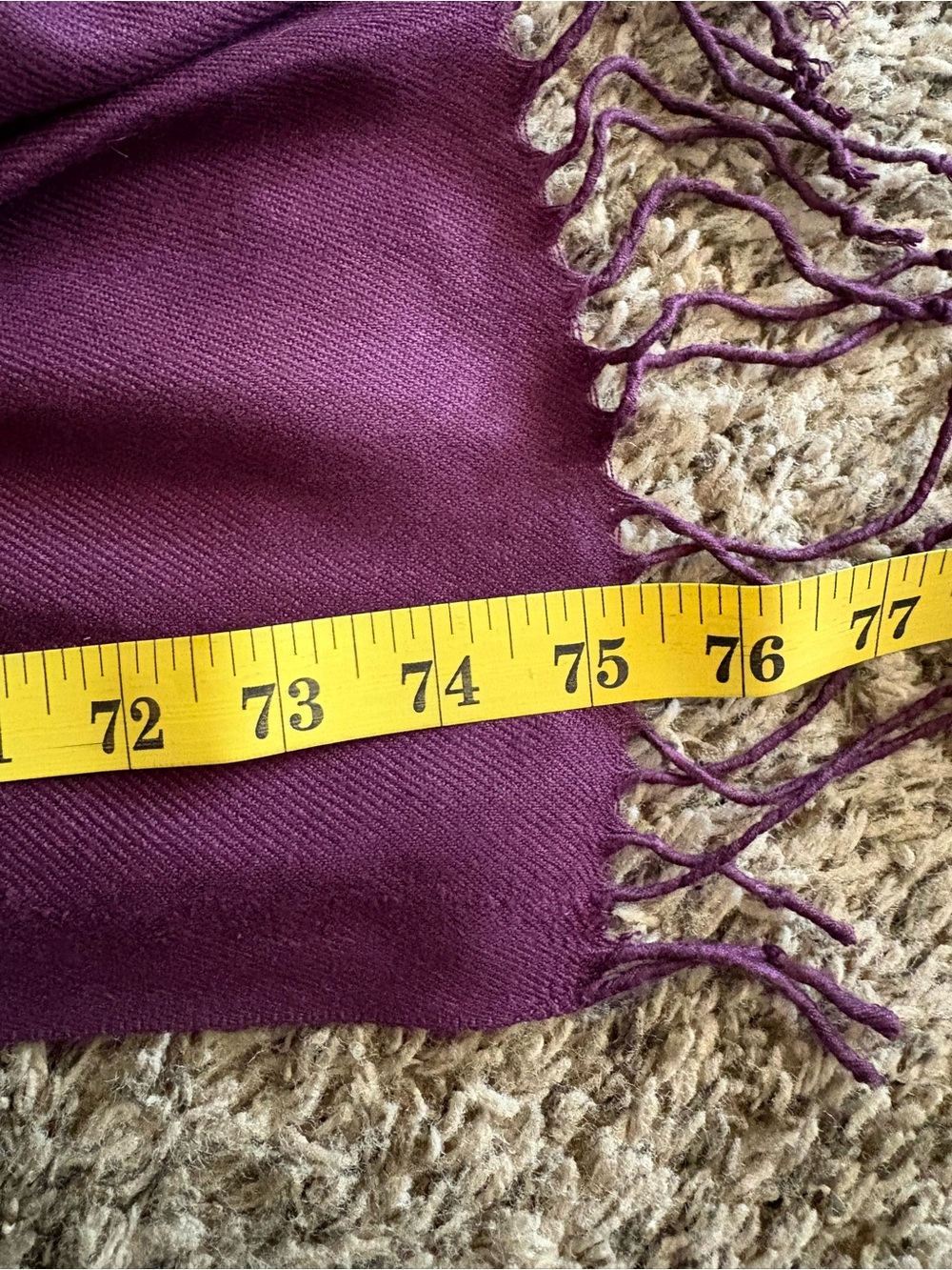Plum Pashmina Scarf Cottagecore Shawl - Picture 4 of 4